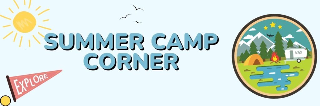 Summer Camp Corner - Home Lice Treatment Kit & Removal by Simplicety at ...